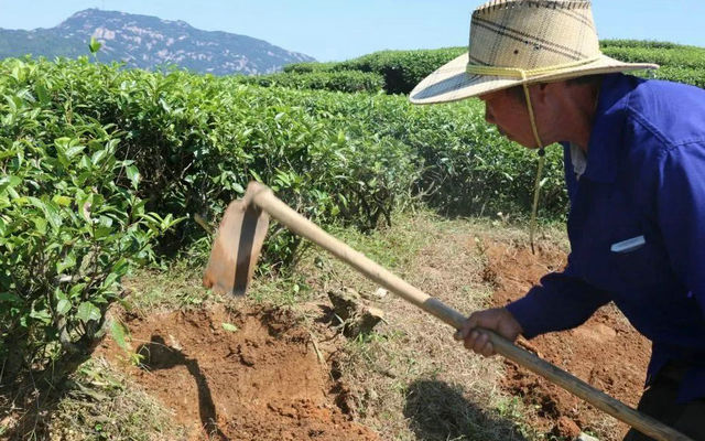 b539edf6a81cc5ed154fc36b664a6b89.jpg b539edf6a81cc5ed154fc36b664a6b89.jpg