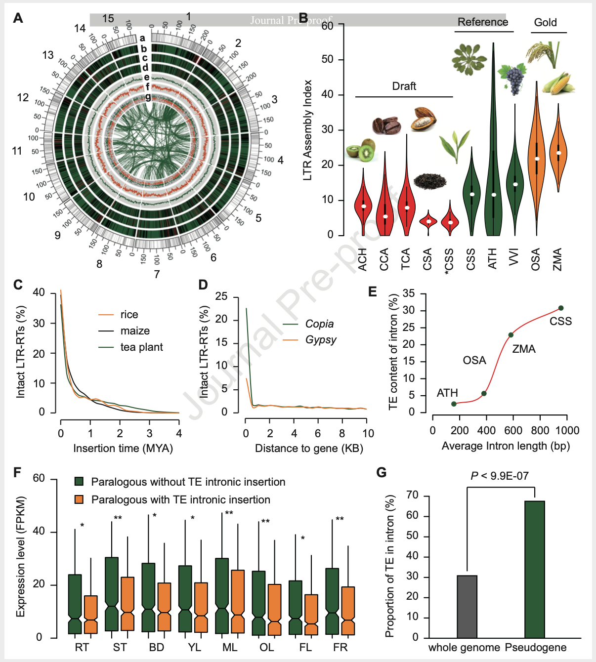 246ee0a1b0214d61d8796ff49c97f4af.png 246ee0a1b0214d61d8796ff49c97f4af.png