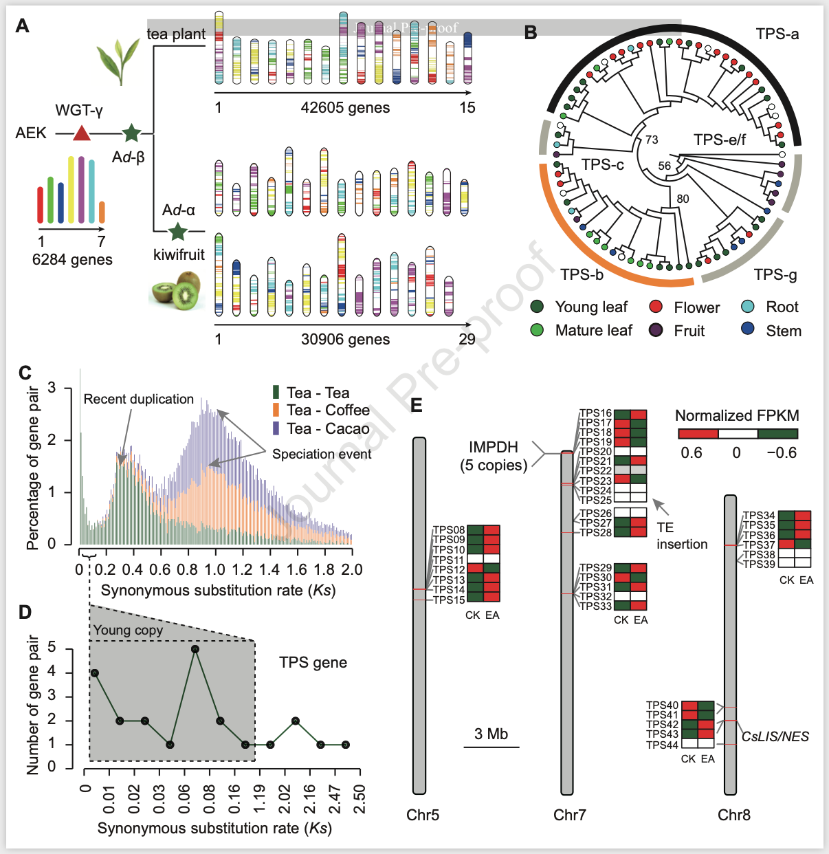 86aaeaf91227e09357d392c458c77166.png 86aaeaf91227e09357d392c458c77166.png