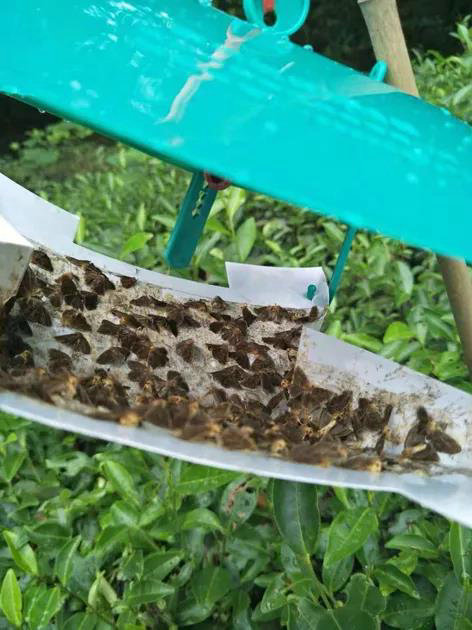 2435ff5330d18cad8172d507dcce9c4e.jpg 2435ff5330d18cad8172d507dcce9c4e.jpg