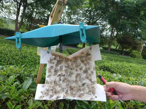 328674e07f74d059d27445ba13e5a482.jpg 328674e07f74d059d27445ba13e5a482.jpg