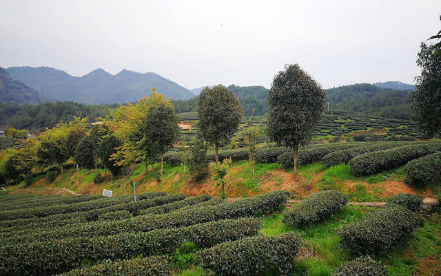 f98e4ce9f6161856407ce04faed7db4e.jpg f98e4ce9f6161856407ce04faed7db4e.jpg