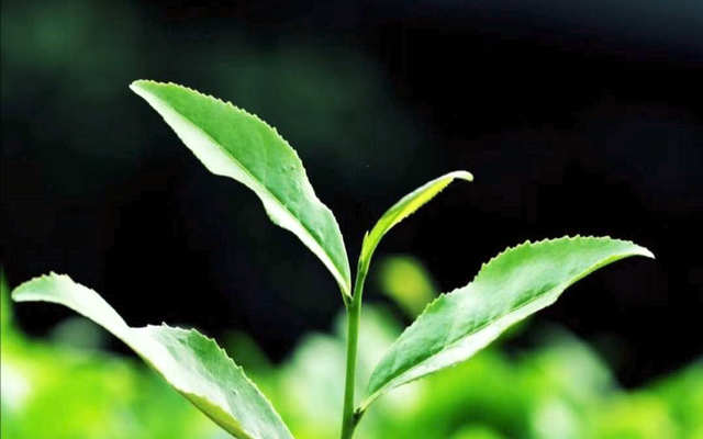 b20c9d5223e9c832cfd89d2c2982c894.jpg b20c9d5223e9c832cfd89d2c2982c894.jpg