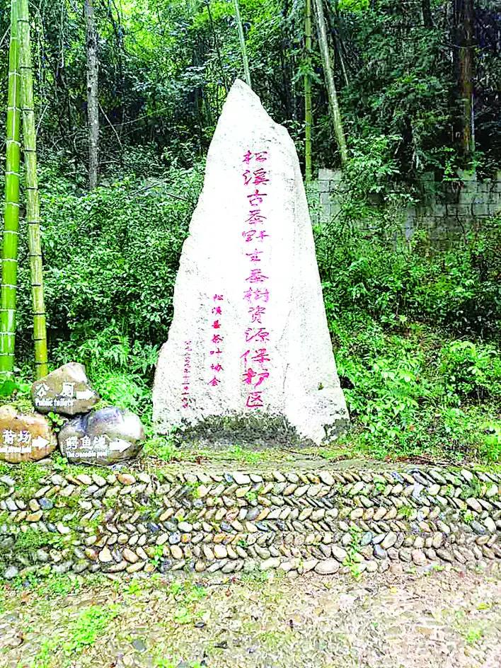 c5906581222548e0185fd312a62b443a.jpg c5906581222548e0185fd312a62b443a.jpg