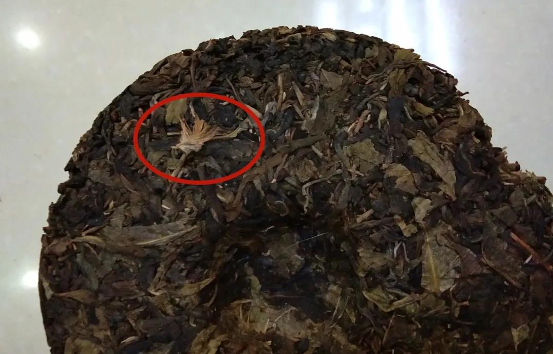 41f211d0d512f69e50e6d8da25ada499.jpg 41f211d0d512f69e50e6d8da25ada499.jpg