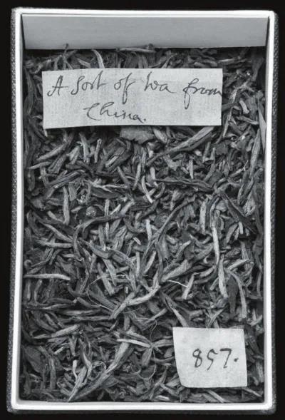 c5423095893c5466555287943c0f9a63.jpg c5423095893c5466555287943c0f9a63.jpg