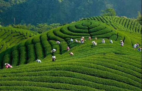 7e53b21942e7e2fa1236f6833228c9ad.jpg 7e53b21942e7e2fa1236f6833228c9ad.jpg