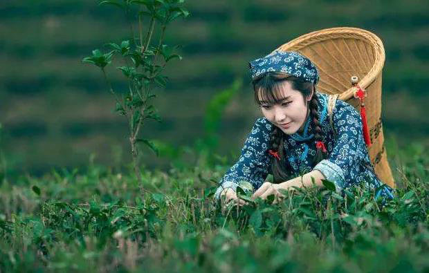 ff65f3ead4caa41646cbe7fb33e8e586.jpg ff65f3ead4caa41646cbe7fb33e8e586.jpg