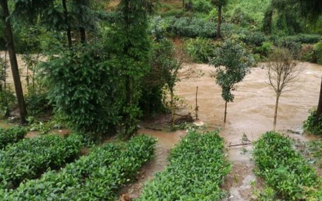 da60d2d6aac2d5f716cadccef6a21b2a.jpg da60d2d6aac2d5f716cadccef6a21b2a.jpg