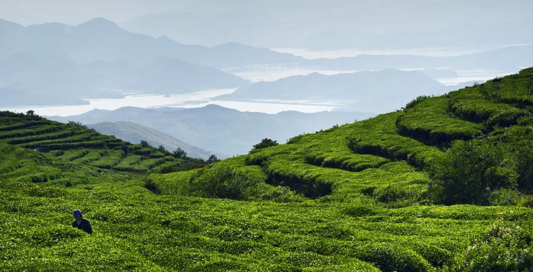 0ca296eabc2655b2441d64316664731f.jpg 0ca296eabc2655b2441d64316664731f.jpg