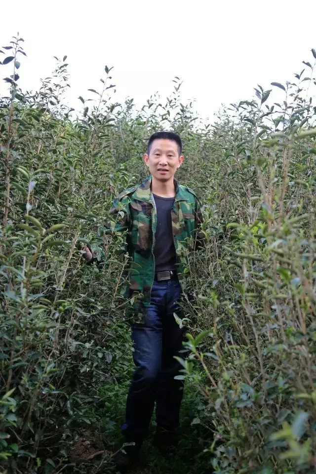 13d44e9301cf5466f253476d4d4b08f0.png 13d44e9301cf5466f253476d4d4b08f0.png