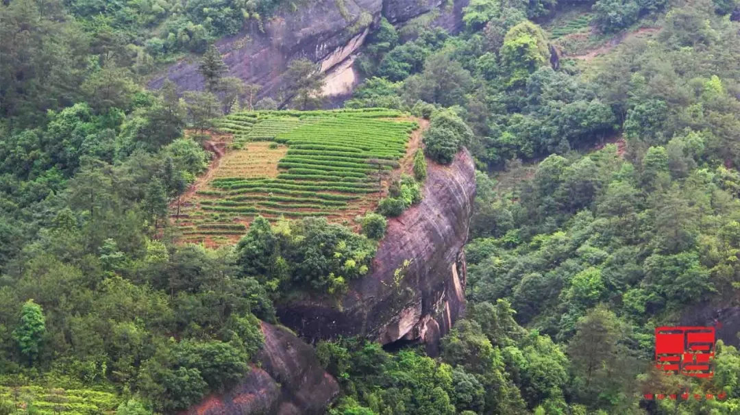 691be1dff0aee2ad974f96e4b632fc1b.png 691be1dff0aee2ad974f96e4b632fc1b.png