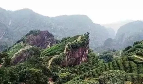 7cd375a05c44af96900ca312a537d6f0.png 7cd375a05c44af96900ca312a537d6f0.png