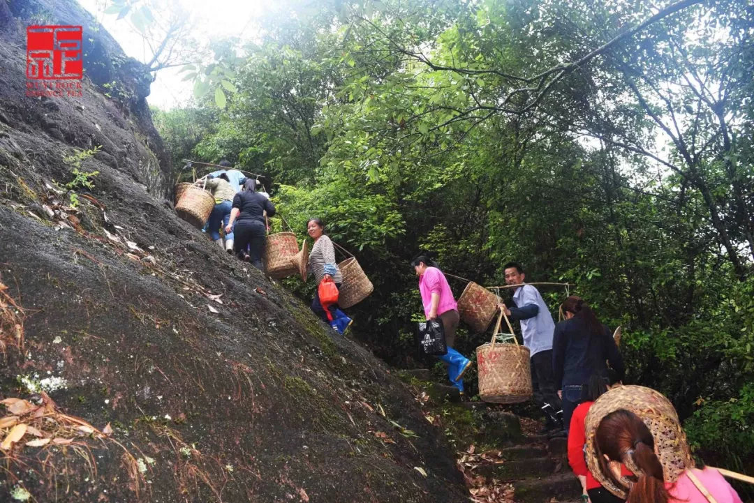 b4b4f4c420833397eb8c3f81bfe98a3a.png b4b4f4c420833397eb8c3f81bfe98a3a.png