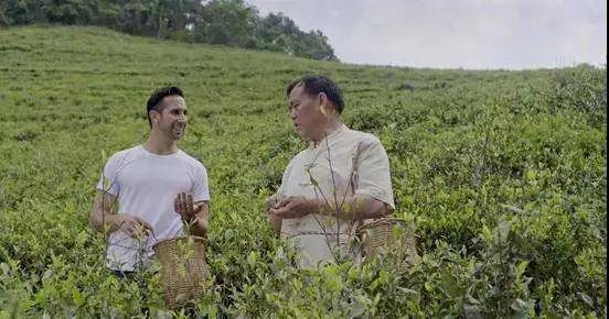 51653fb9c8399f8c55fc13af4d54c042.jpg 51653fb9c8399f8c55fc13af4d54c042.jpg