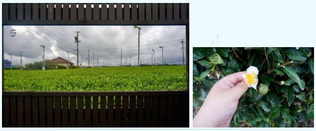 28b76c7c333f3d37db62f47038769d66.jpg 28b76c7c333f3d37db62f47038769d66.jpg