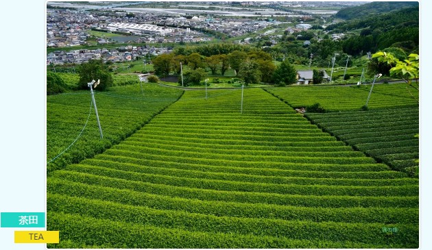 2c7d431a4e7334e532b48fec7e1818e9.jpg 2c7d431a4e7334e532b48fec7e1818e9.jpg