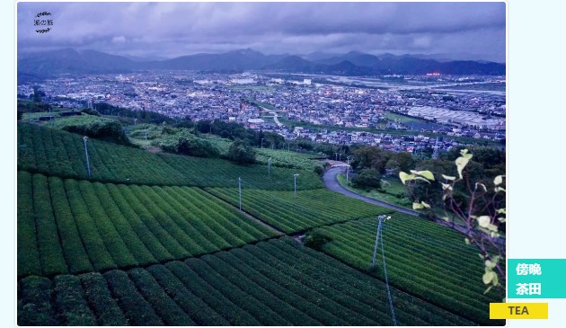 3604003fe24a19a580cdb7fa82f56279.jpg 3604003fe24a19a580cdb7fa82f56279.jpg