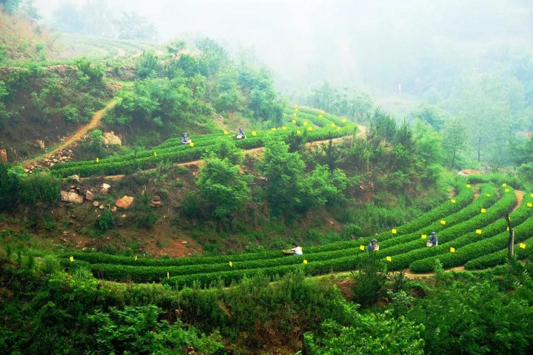 960f0c29398bcc6b3fd658a2d9004278.jpg 960f0c29398bcc6b3fd658a2d9004278.jpg