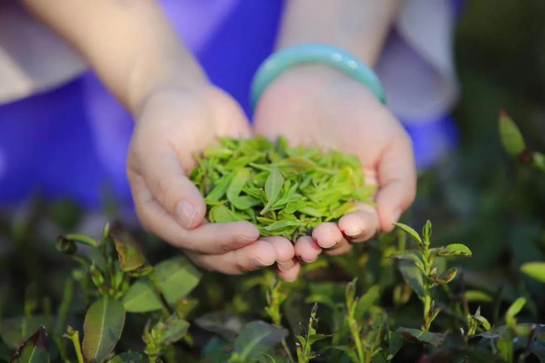 fecef143050ae10aaaca7a3d9915d0a4.jpg fecef143050ae10aaaca7a3d9915d0a4.jpg