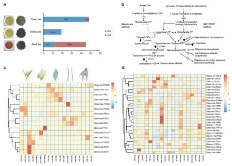 83448eb47e818e5a011a00f381d82e45.jpg 83448eb47e818e5a011a00f381d82e45.jpg