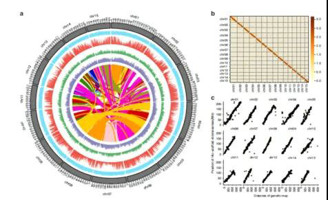 e8bea5d954bf95b7af5febf5bfe08ed6.jpg e8bea5d954bf95b7af5febf5bfe08ed6.jpg