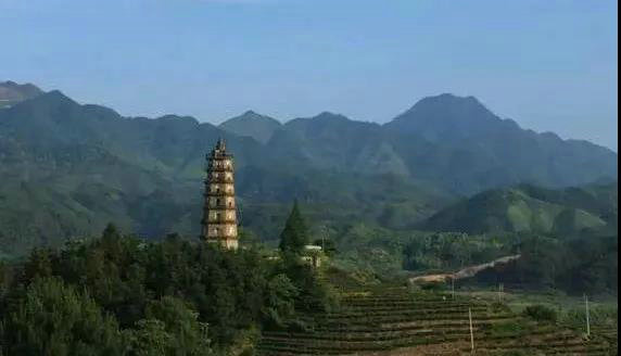 3bc99d2eb136ec424c3bba933ed48d6a.jpg 3bc99d2eb136ec424c3bba933ed48d6a.jpg