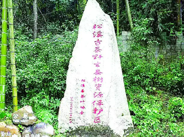 891d1833dc38ee7e8b08939eb5f2ffec.jpg 891d1833dc38ee7e8b08939eb5f2ffec.jpg