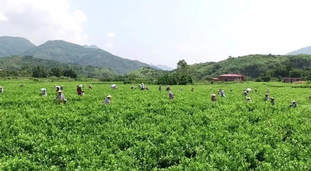 78b1977599348ef4371964145587aa8c.jpg 78b1977599348ef4371964145587aa8c.jpg