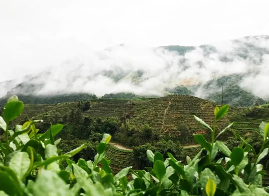 d892f183e856007f2d90cc7160f852d8.jpg d892f183e856007f2d90cc7160f852d8.jpg