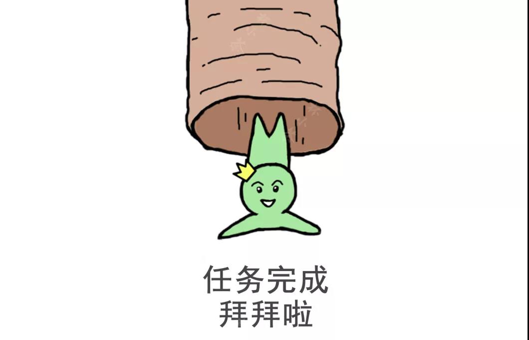 00050e1371e36c642cc95b8d7fbf5db1.jpg