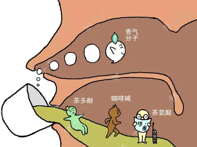 33ca59c744a89d8e0dada8a74ac6401d.jpg