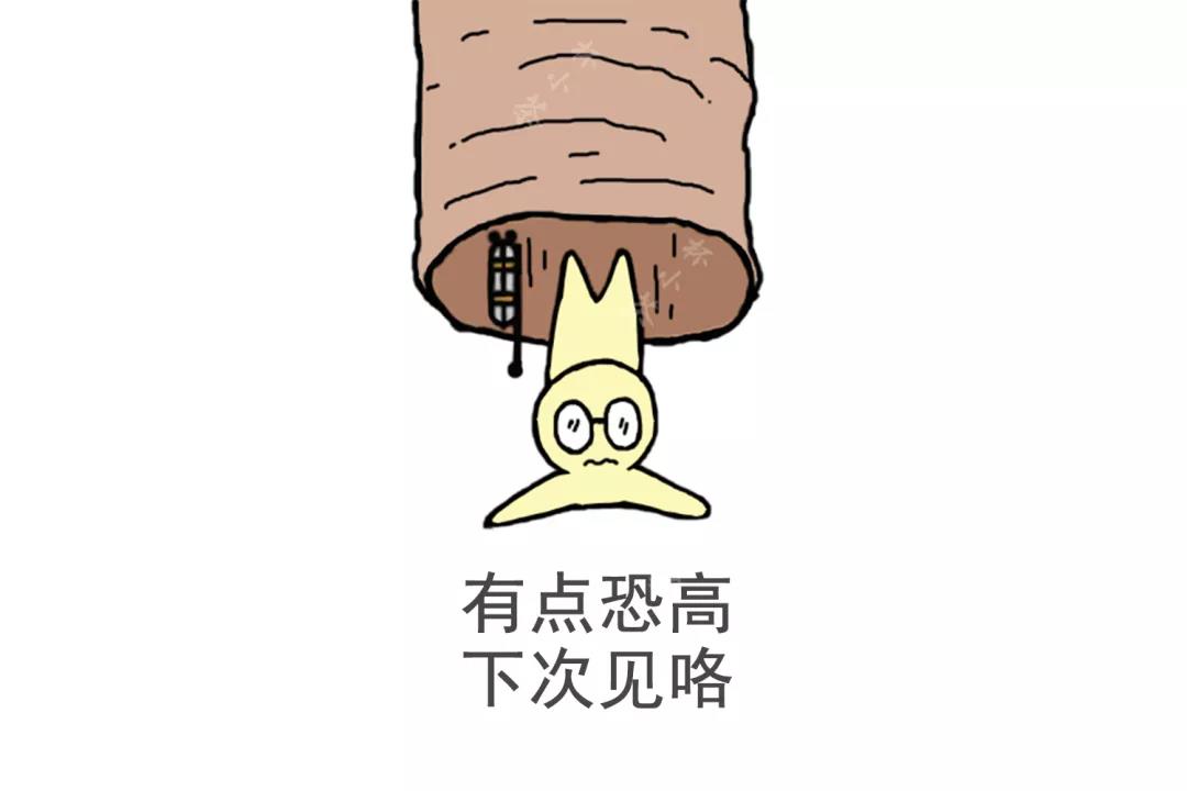 e174ce86e45f6df5d9fd682f466f3f62.jpg