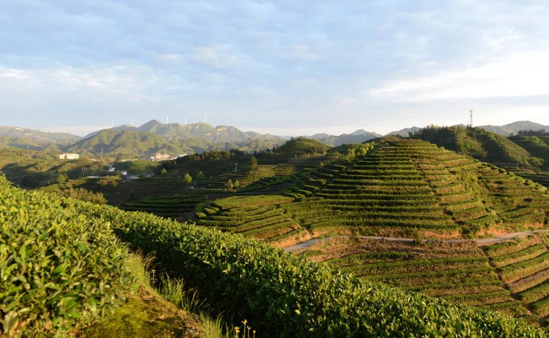 27161f1ba77d8ef300b57b636f9635ac.jpg 27161f1ba77d8ef300b57b636f9635ac.jpg