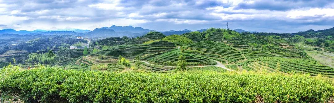 4b0c1a054ed1755ae24b33f1f3235dd5.jpg 4b0c1a054ed1755ae24b33f1f3235dd5.jpg