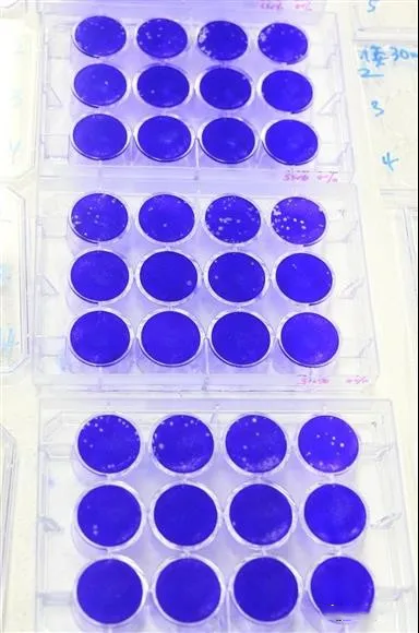 885b40c04ec6e8885023eda8bb8a0013.png 885b40c04ec6e8885023eda8bb8a0013.png