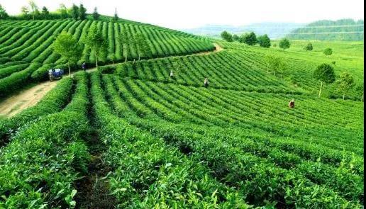 efdd876c3184b51e7cf528e5d4197305.jpg efdd876c3184b51e7cf528e5d4197305.jpg