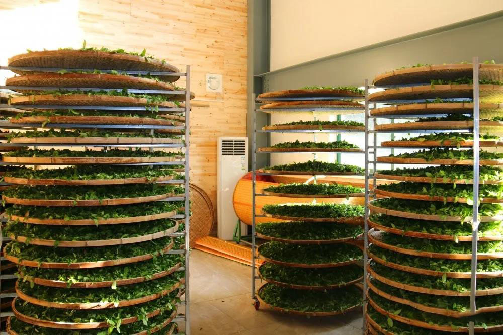 08eefcae1addea027fb74eb6d5e13278.jpg 08eefcae1addea027fb74eb6d5e13278.jpg