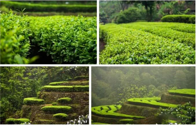 f612b488b602775ae0e0e46bce300073.jpg f612b488b602775ae0e0e46bce300073.jpg