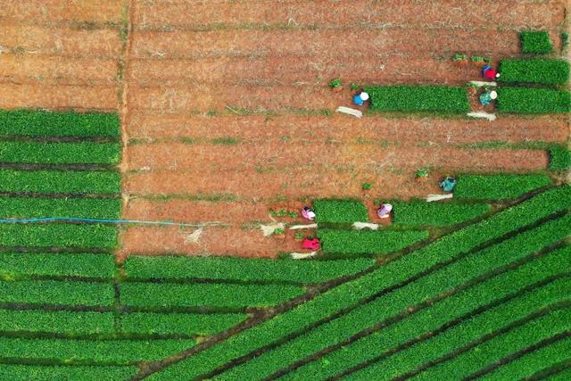 ddb3682e6fd7ceea8e81ad512c24dcf5.jpg ddb3682e6fd7ceea8e81ad512c24dcf5.jpg