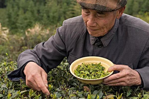 83d5ef0ae9d4e534a95f4c5a387e513f.jpg 83d5ef0ae9d4e534a95f4c5a387e513f.jpg