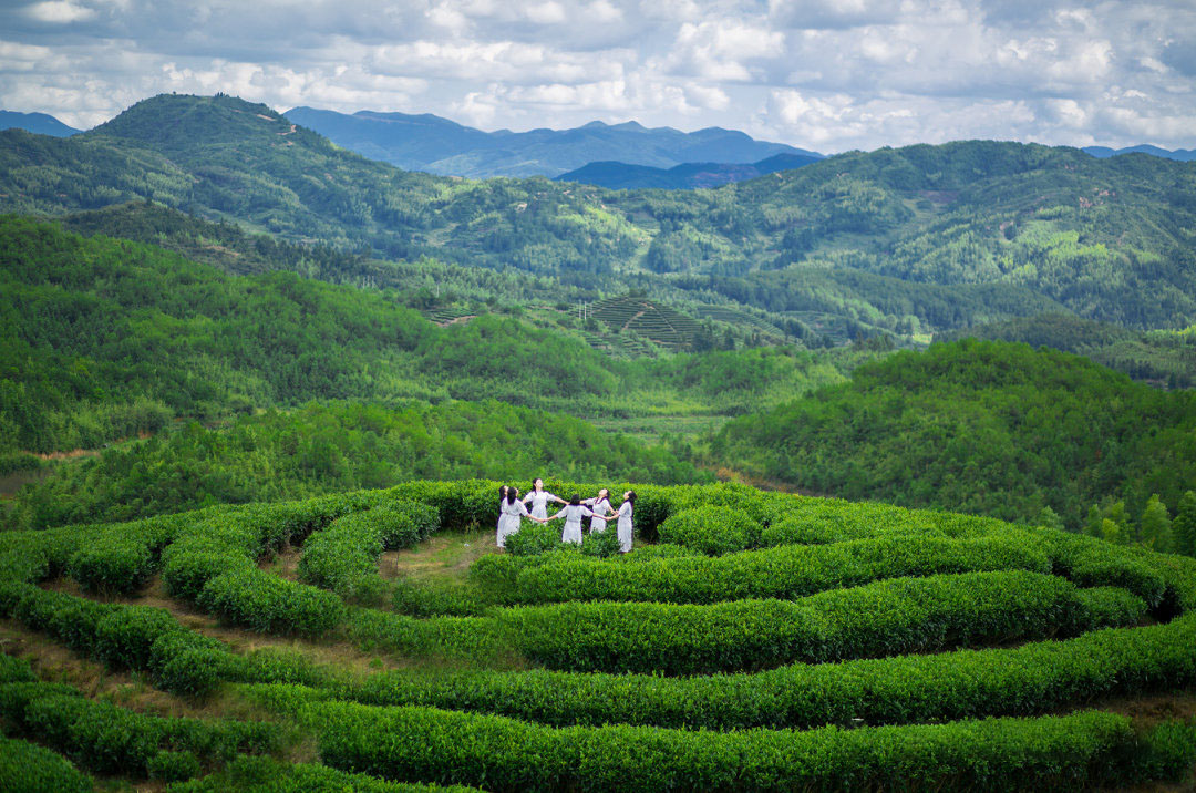 73899fd672216e69d8124ef04eb77083.jpg 73899fd672216e69d8124ef04eb77083.jpg