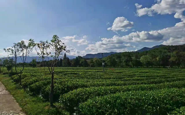 4d65e680cbe8aff329c6644c6012066d.jpg 4d65e680cbe8aff329c6644c6012066d.jpg