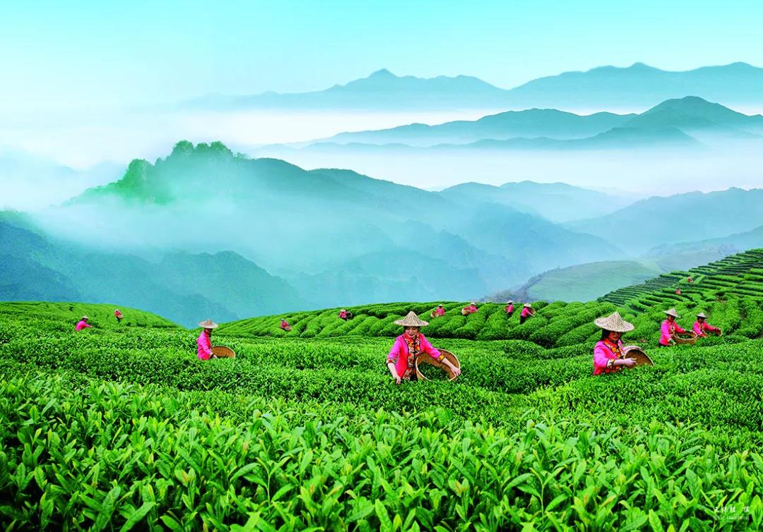 364d50d01088485cbb478ccd8fa3d9b2.jpg 364d50d01088485cbb478ccd8fa3d9b2.jpg