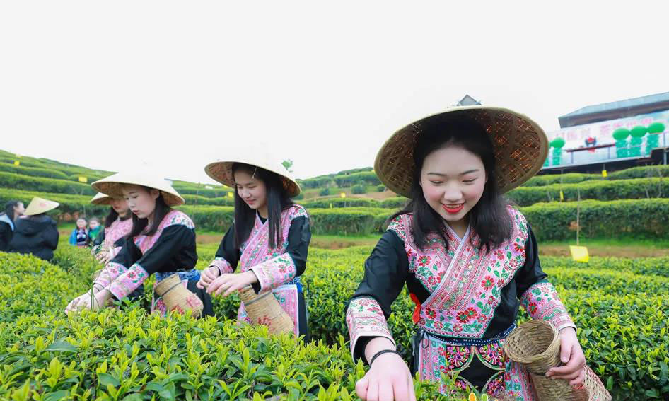 8e6215c942acfbc951d2aeae811d5119.jpg 8e6215c942acfbc951d2aeae811d5119.jpg