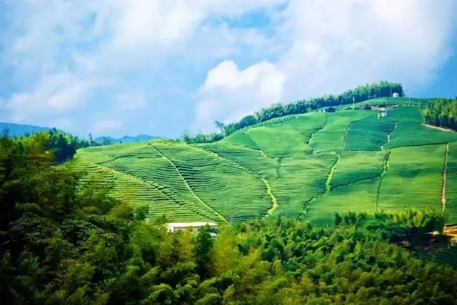 692bc3f64365bc17c17d88ea04500176.jpg 692bc3f64365bc17c17d88ea04500176.jpg