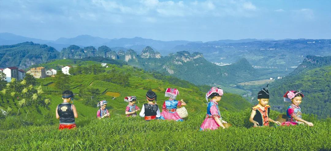 6e7f250ab392d67bf96c5b05dedf6fe1.jpg 6e7f250ab392d67bf96c5b05dedf6fe1.jpg