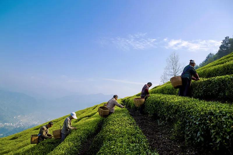 e49ceb8c6ca2ebfb8231ab6ade32c4a1.jpg e49ceb8c6ca2ebfb8231ab6ade32c4a1.jpg