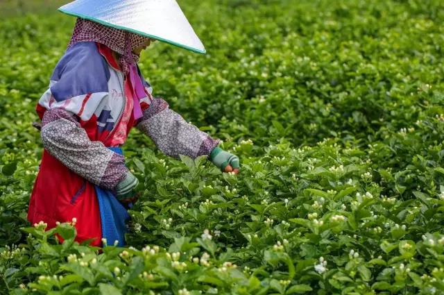 f795fdcd192c236ef6a35a7b6d01aa64.jpg f795fdcd192c236ef6a35a7b6d01aa64.jpg