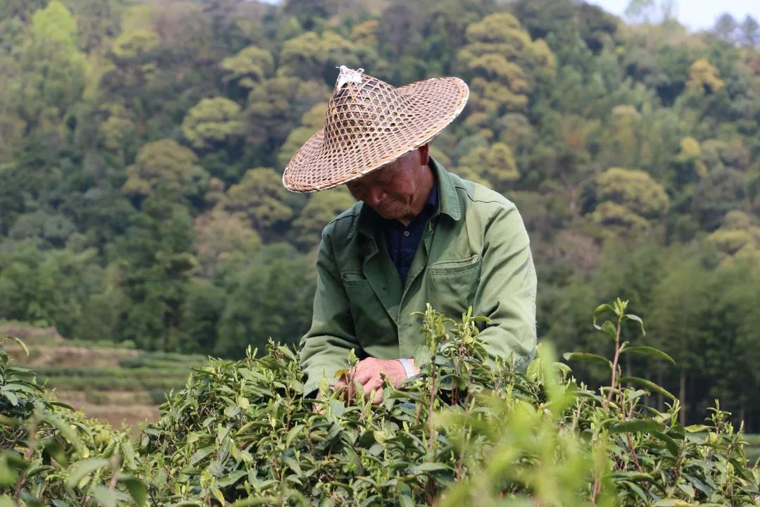 4f998d5dcb37a458d6cfbb978e418770.jpg 4f998d5dcb37a458d6cfbb978e418770.jpg